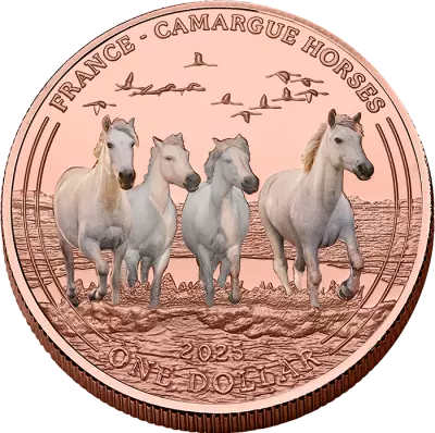 USA Camargue Horses - 1 Dollar 2025 Copper colour Mesa Grande
