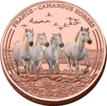 USA Chevaux de Camargue - 1 Dollar 2025 Cuivre Couleur Mesa Grande