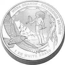 USA The Spirit of Liberty - 5 Dollar 2025 1 Kg Brass Mesa Grande