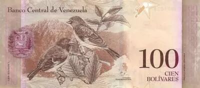 Venezuela 100 Bolivares Simon Rodriguez - Birds
