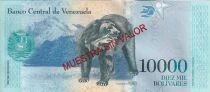 Venezuela 10000 Bolivares - Sim&oacute;n Rodr&iacute;guez - 18-08-2016 - Sp&eacute;cimen