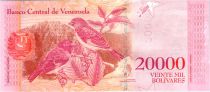 Venezuela 20000 Bolivares Simon Bolivar - Petits cardinals - 2016