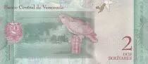 Venezuela Cadeau - 2 Bolivares - Josefa Camejo - Loriquet Parc Morrocoy - 2018