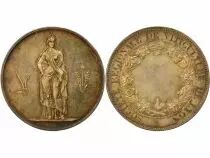 Viticulture - Silver Medal - Lyon
