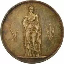 Viticulture - Silver Medal - Lyon