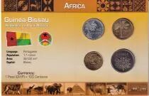 WEST AFRICA Bird type