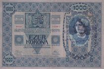 Yugoslavia 1000 Kronen - Woman - Arms - Stamp (text in croatian) - 1919 - P.10B