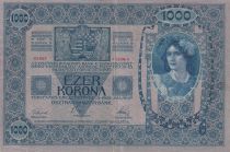 Yugoslavia 1000 Kronen - Woman - Arms - Stamp (text in Slovenian) - 1919 - P.10B