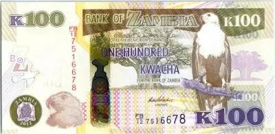 Zambia 100 Kwacha Eagle - Buffalo - 2012