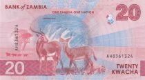 Zambia 20 Kwacha - Fish Eagle - Antelopes - 2024 - AH Series