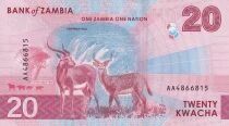 Zambia 20 Kwacha - Fish Eagle - Antelopes - 2024 - AH Series