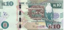 Zambie 10 Kwacha - Aigle - Porc-Epic - 2022 Série CY