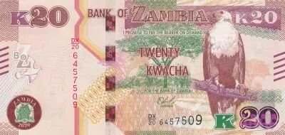Zambie 20 Kwacha - Aigle - Cobe Lechwe - 2020 - S�rie DX.20 - P.NEW