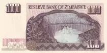 Zimbabue 100 Dollars - Chiremba, dam -  1995