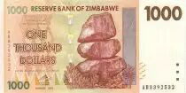 Zimbabue 1000 Dollar Chiremba