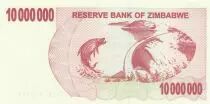 Zimbabwe 10 Million de $ de $, Dam, tigerfish - 2008