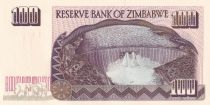 Zimbabwe 100 Dollars  - Chiremba, barrage - 1995