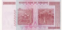 Zimbabwe 5 Billion dollars - Chiremba - 2008 - P.84